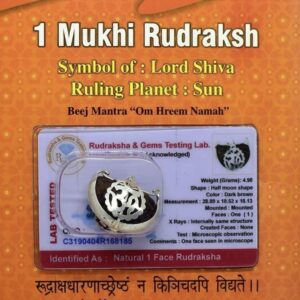 1 mukhi rudraksha