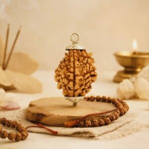 2 mukhi rudraksha