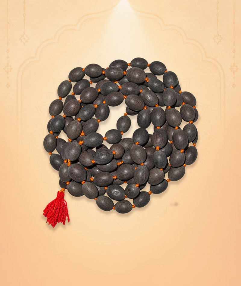 Kamal gatta mala